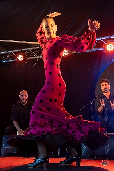 flamenco (89)